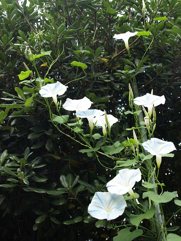 P9230439