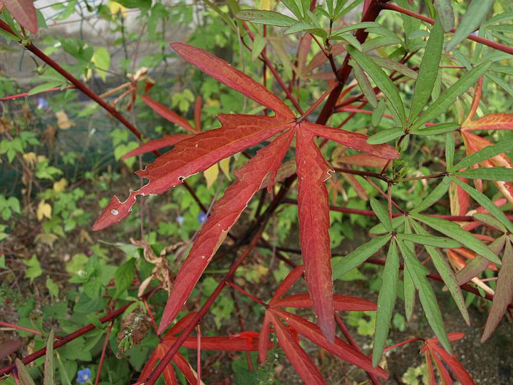 P9230469
