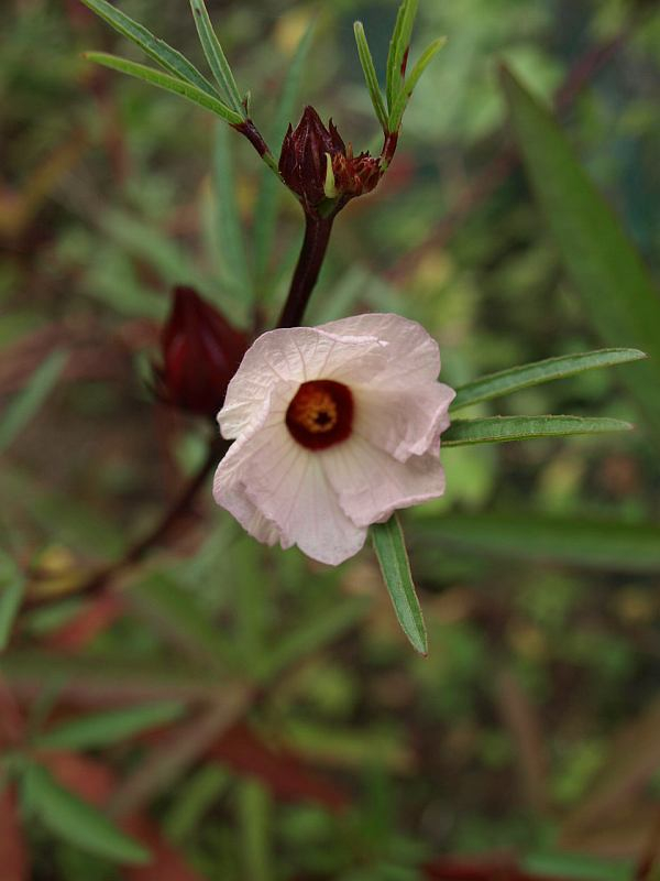 P9230470