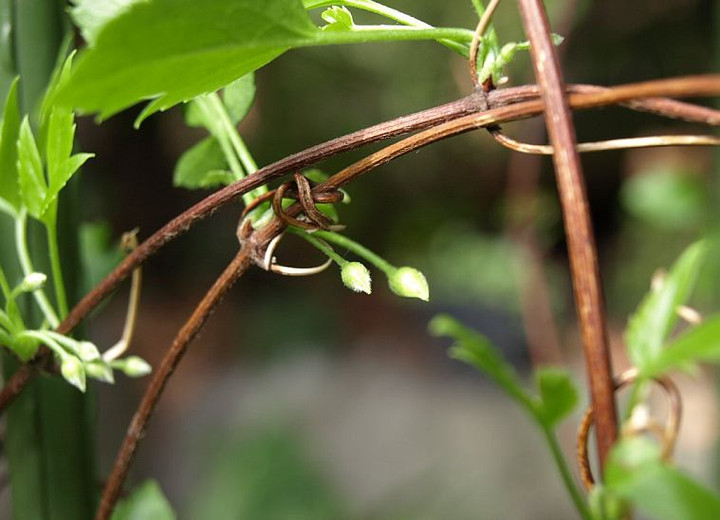 P9230490