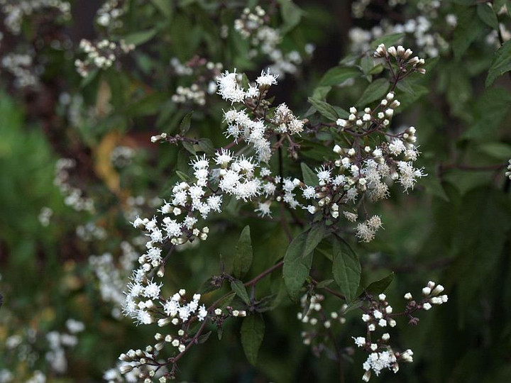 P9250501