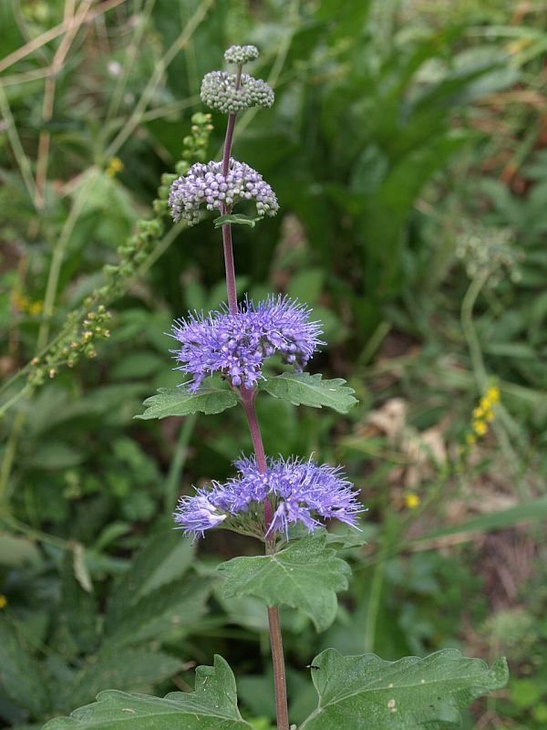 P9260535