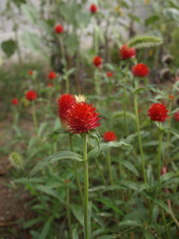P9230472