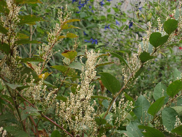 P9291350