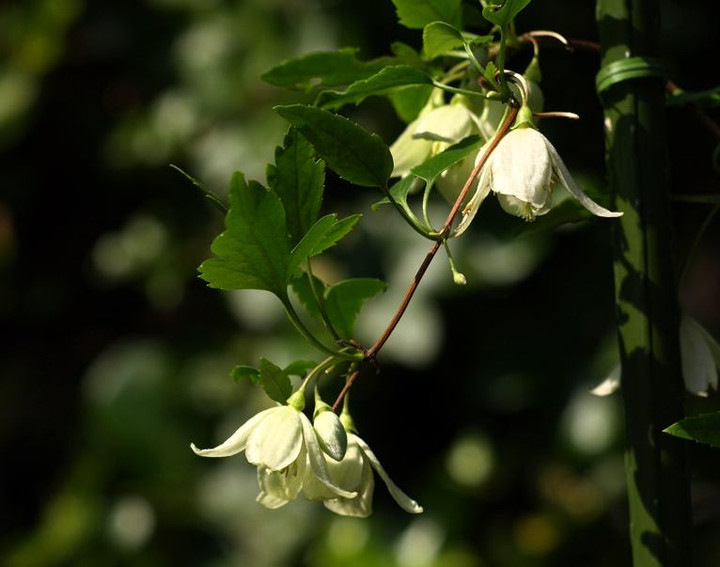 Pa318320