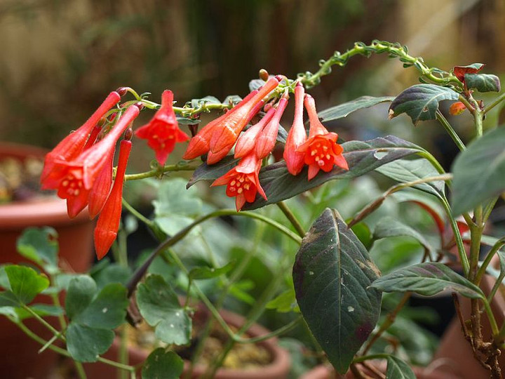 Pb089355