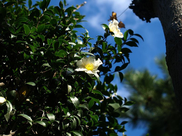 Pb139788