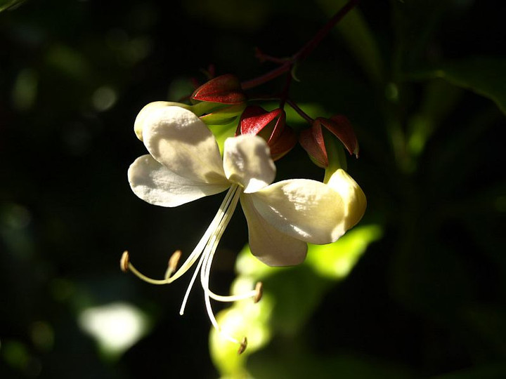 Pb149818