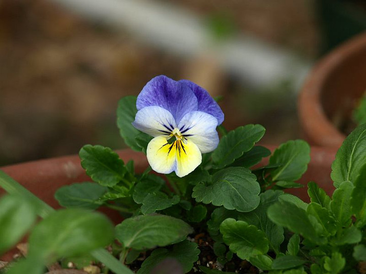 Pc052505