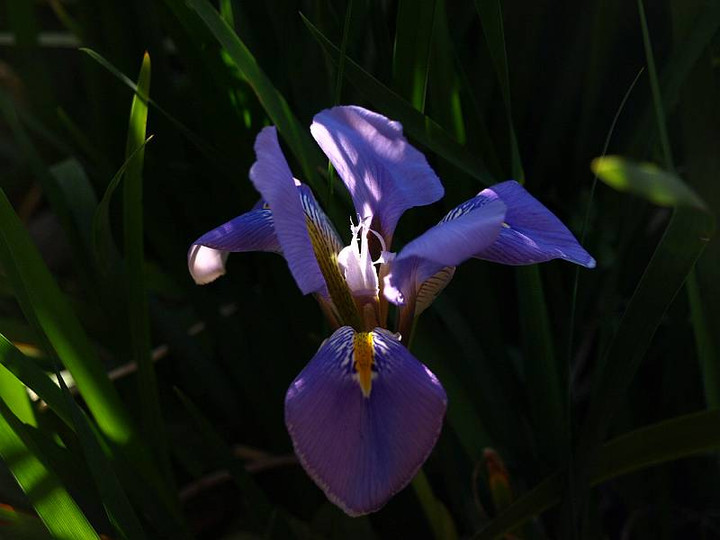 P1186123