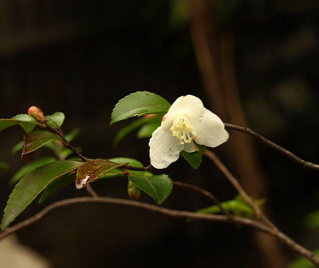 P3010062