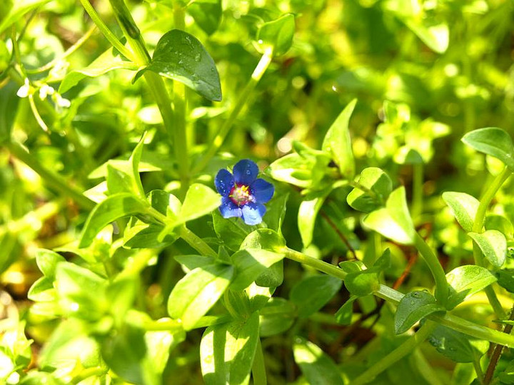 P3203704