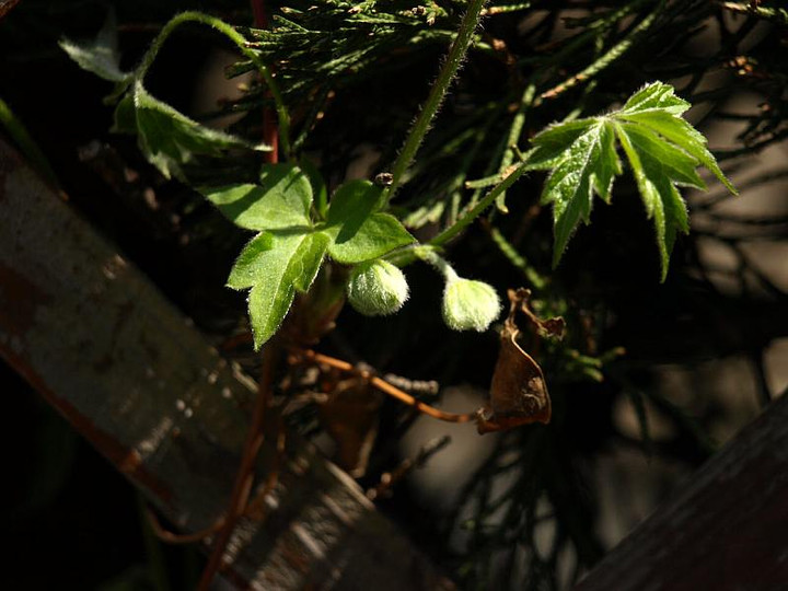 P3224333