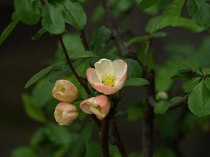 P3224341