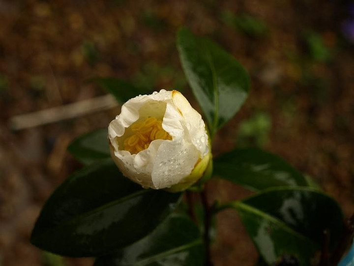P3244669
