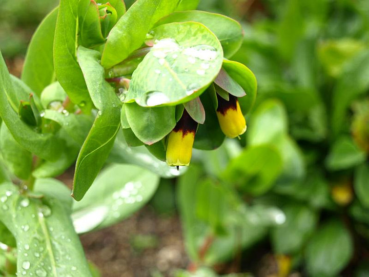 P3244686