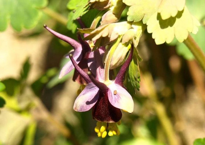 P3264967