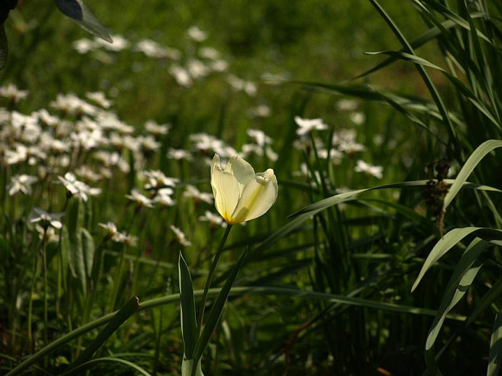 P3285918