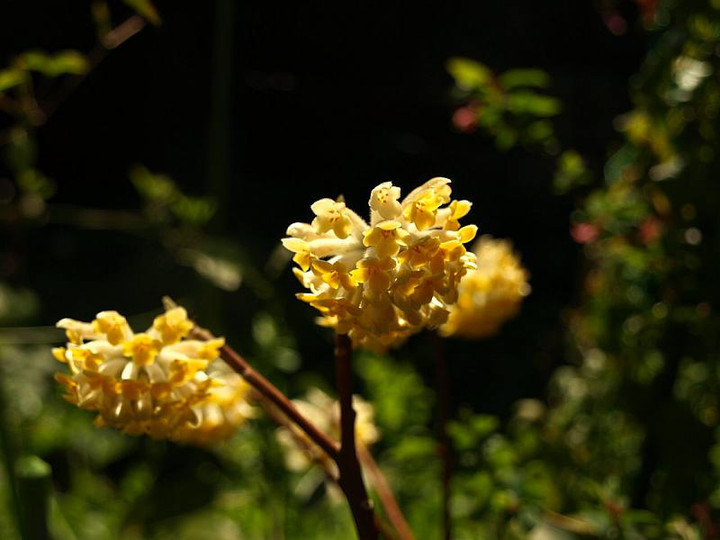 P3264925