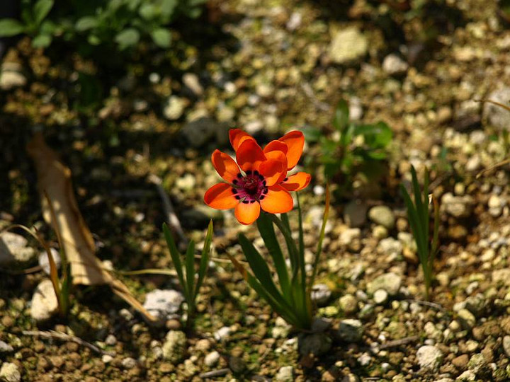 P4143098