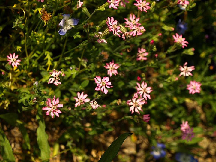 P5061318