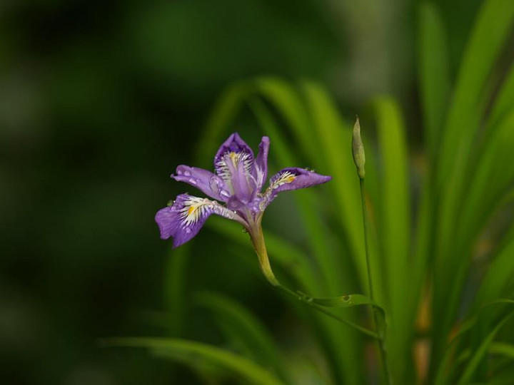 P5071843