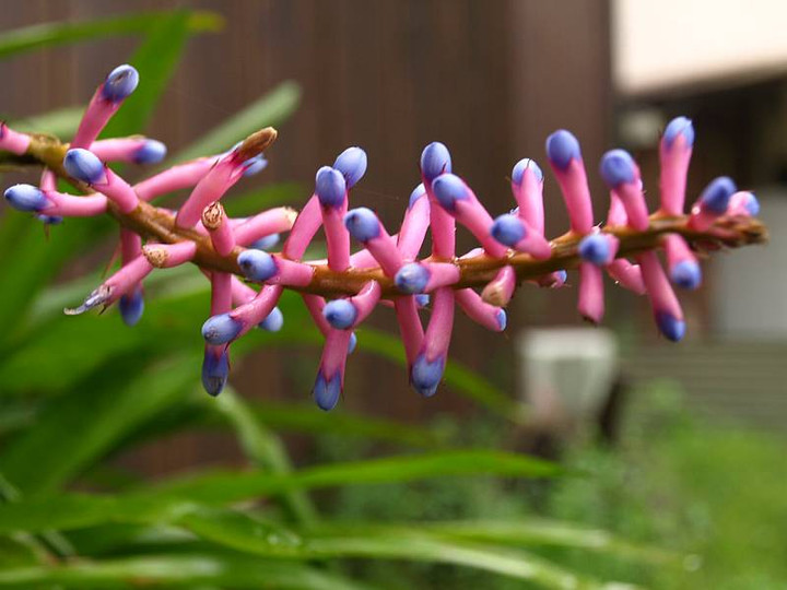 P5208026
