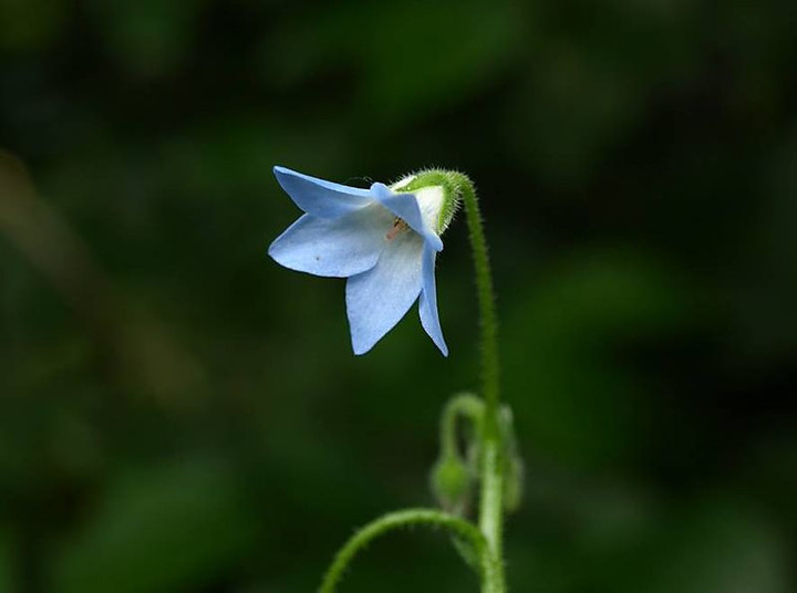 P5259153