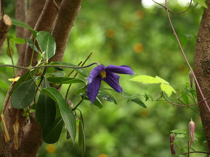 P5270444