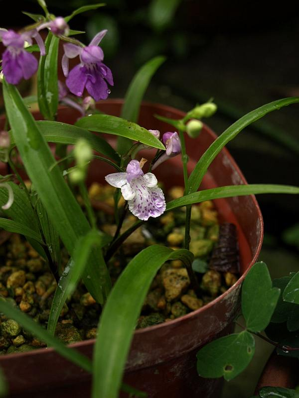 P6125956