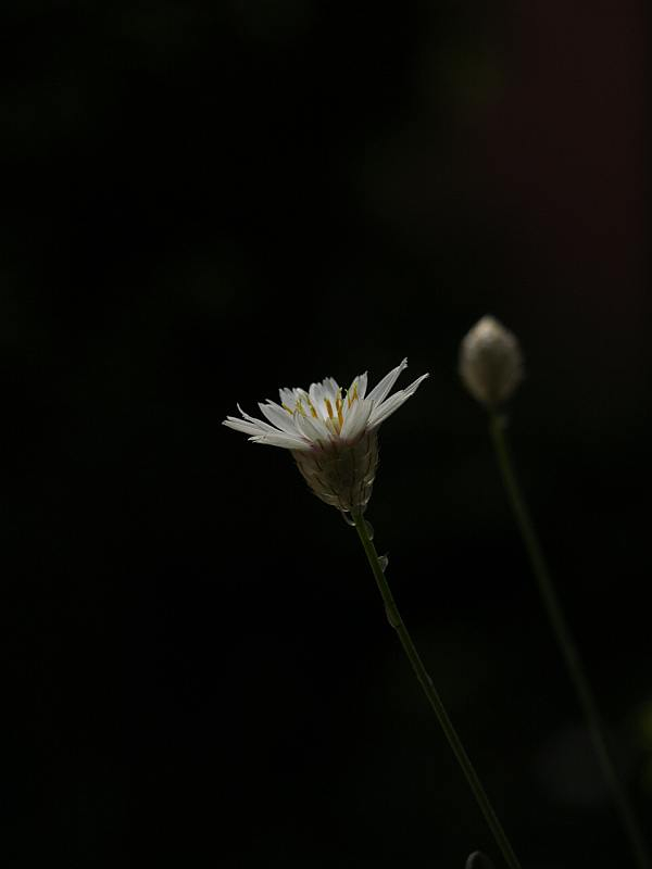 P6218957
