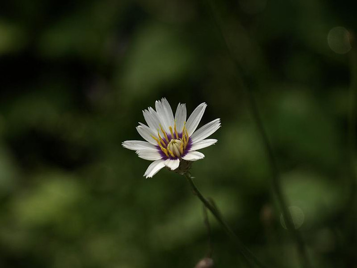 P6218960
