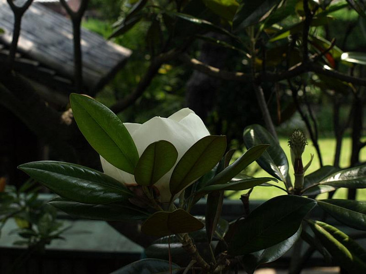 P6249858