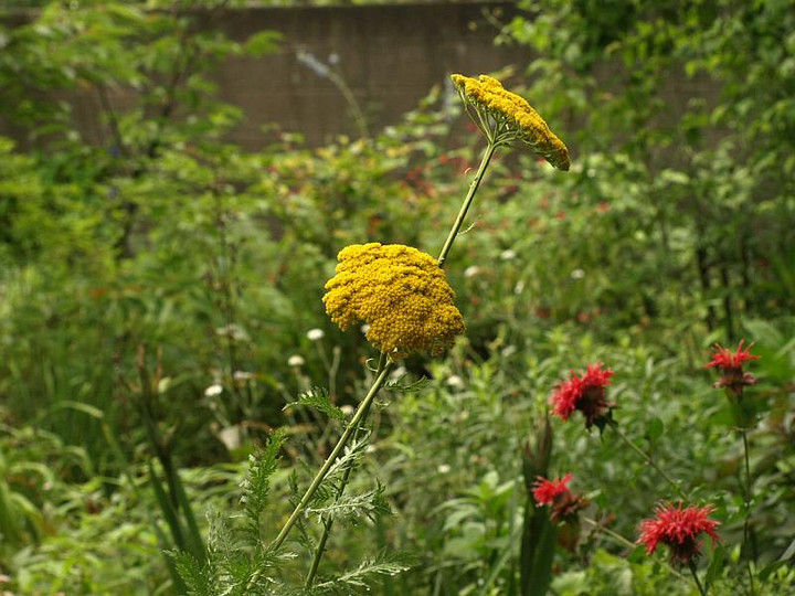 P6269984