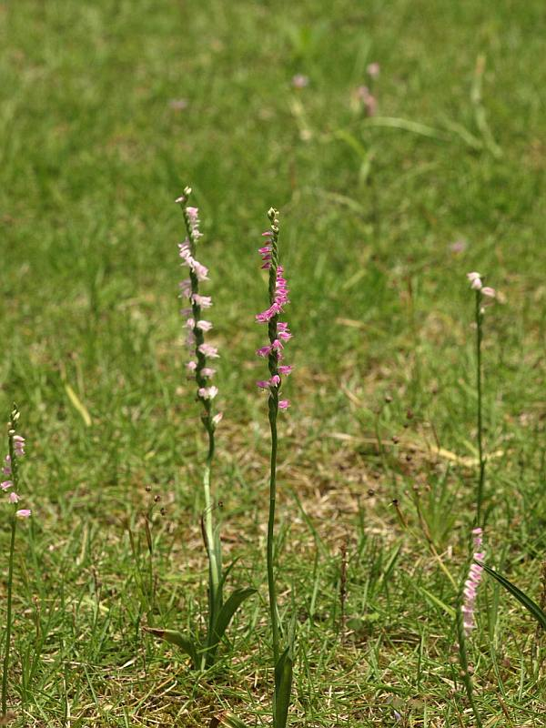 P6270085
