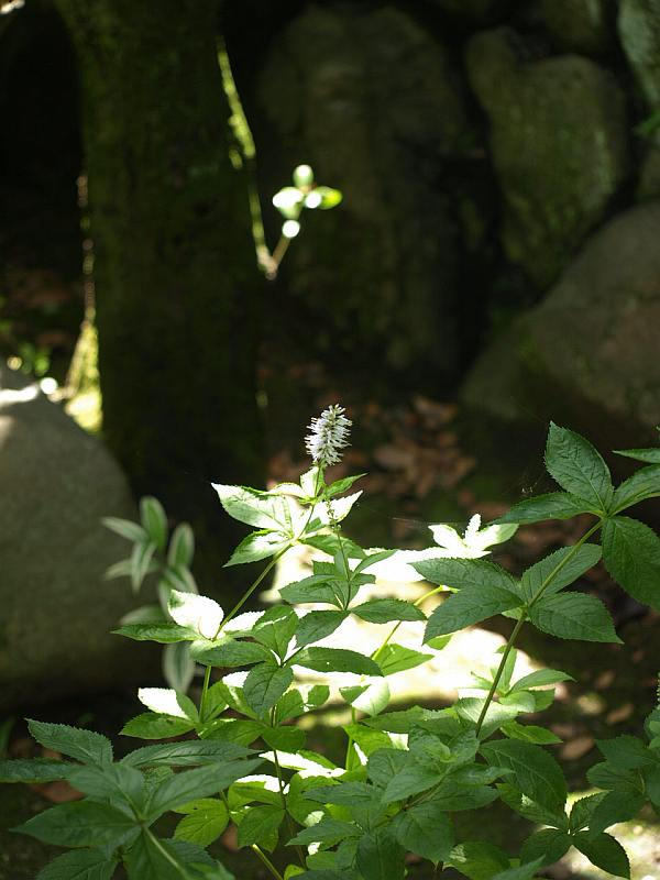 P6280144