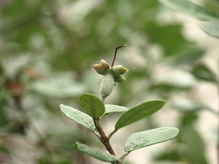 P7022903