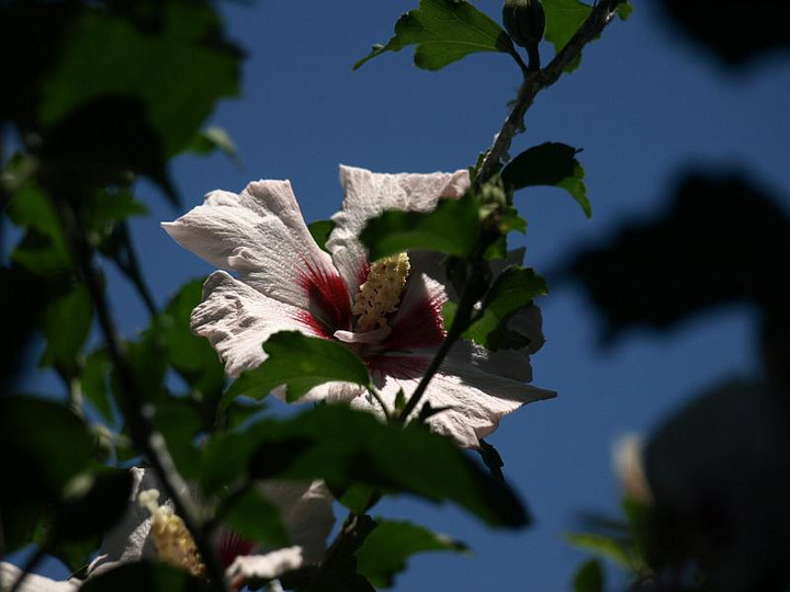 P7043034