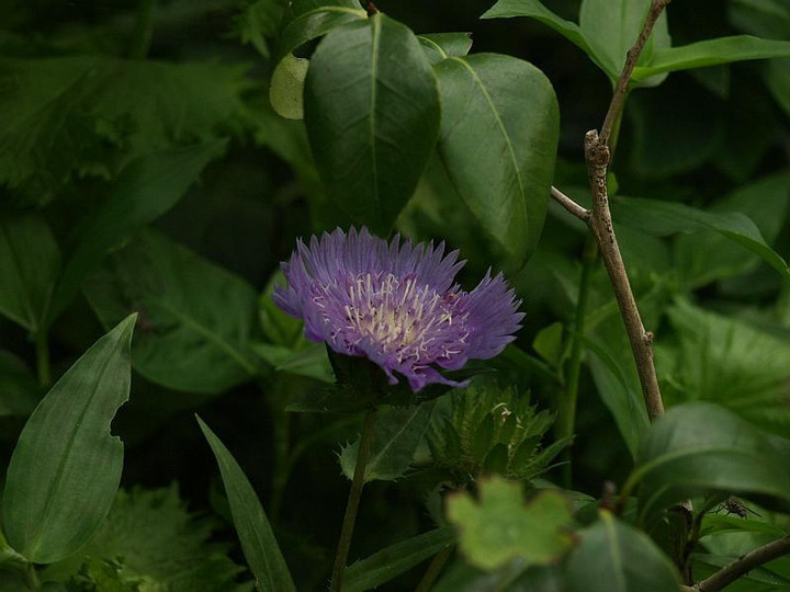 P6280249