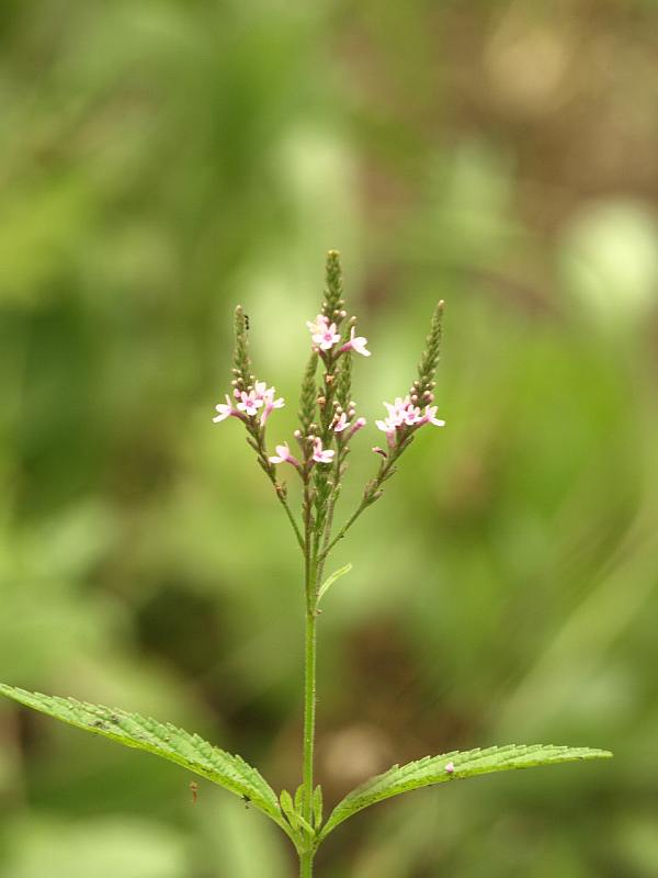 P7022893
