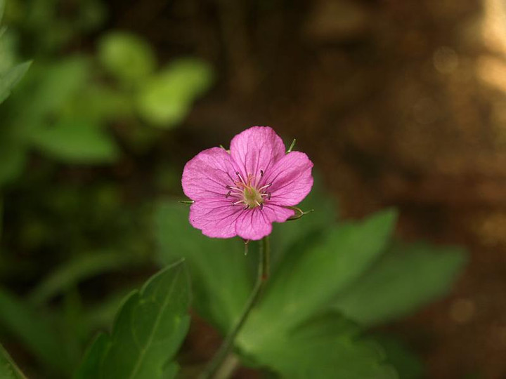 P7063342