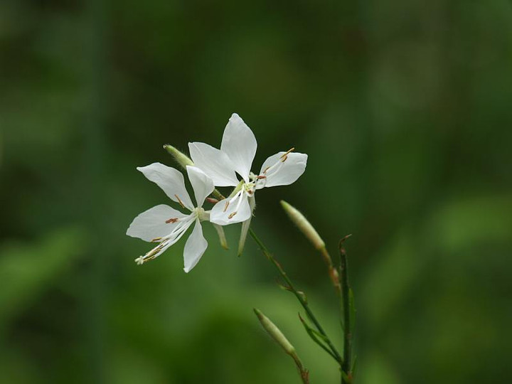 P7022825