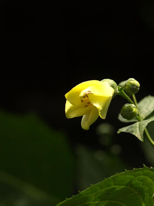 P7103941