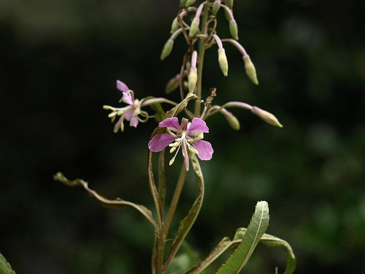 P7103972