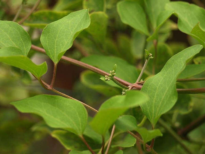P7093762