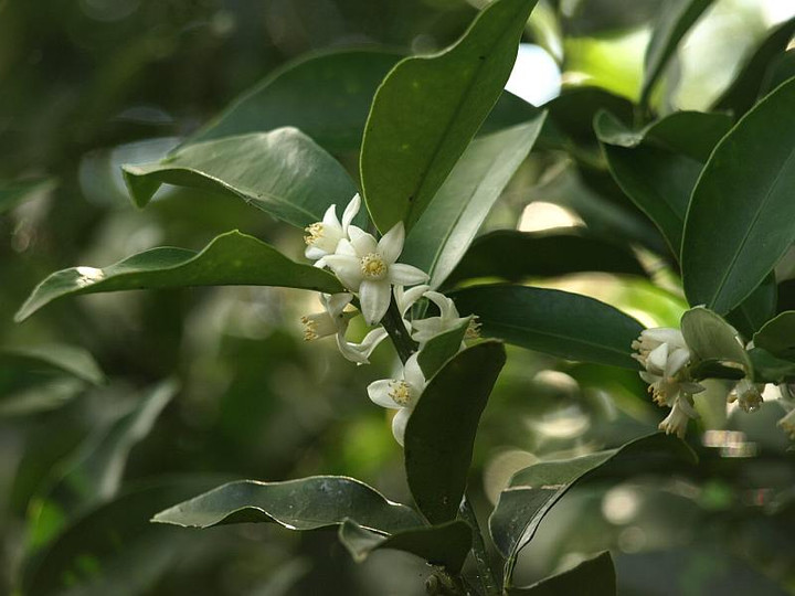 P7124094