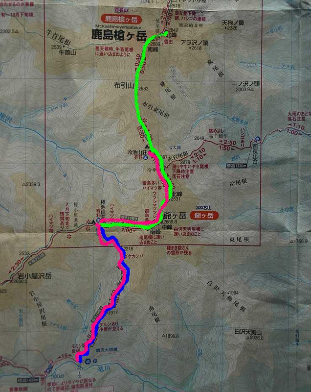 P7177040kasimayari_tizu