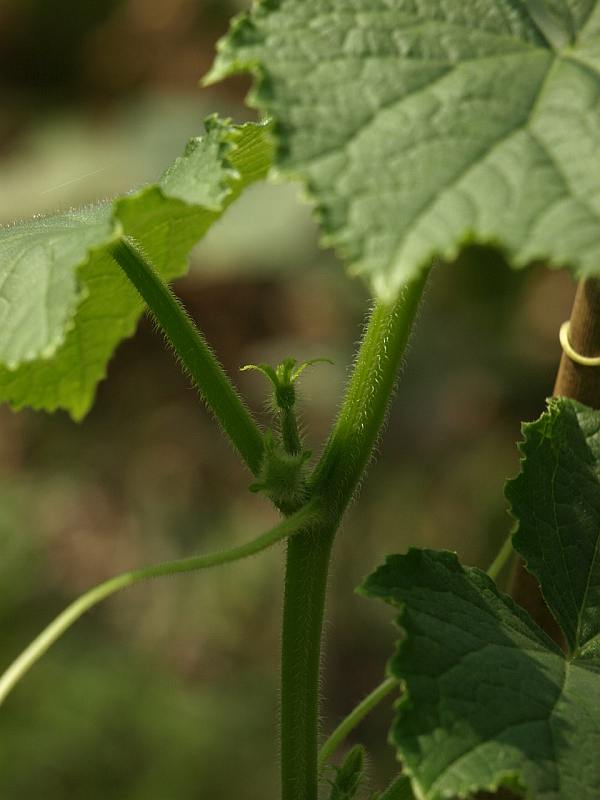 P7308473