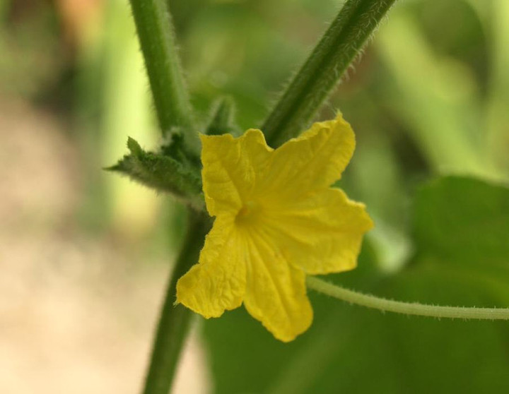P7318512
