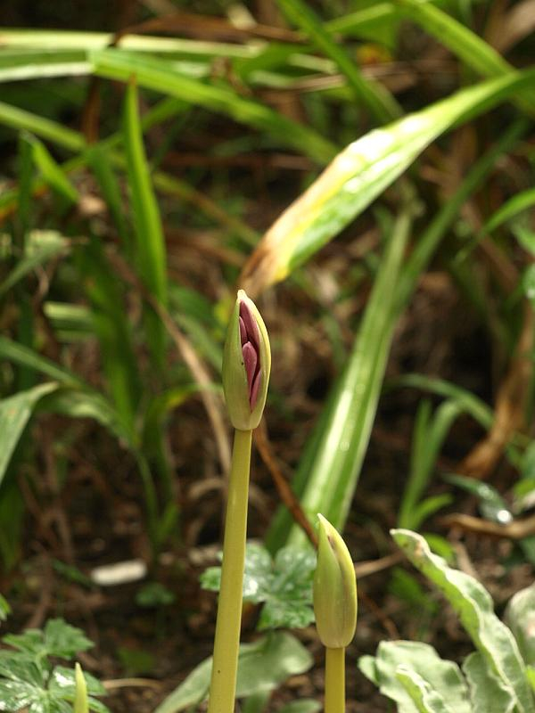 P8100280